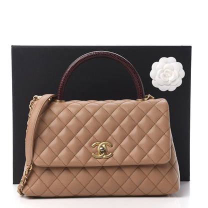 Chanel Caviar Lizard Quilted Small Coco Handle Flap Beige 13 of 13