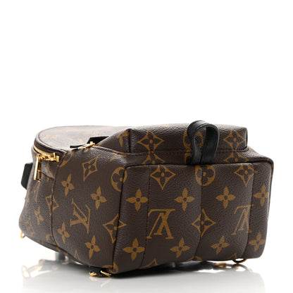 Louis Vuitton Monogram Palm Springs Backpack Mini 4 of 14