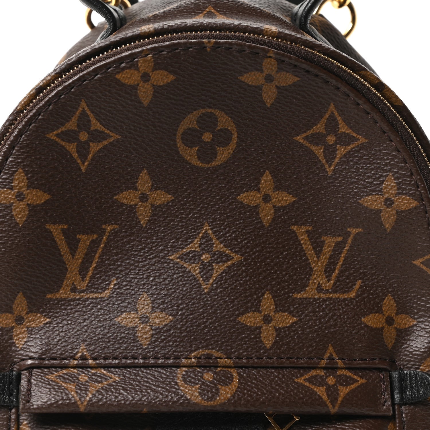 Louis Vuitton Monogram Palm Springs Backpack Mini 7 of 10