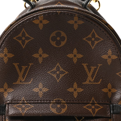 Louis Vuitton Monogram Palm Springs Backpack Mini 7 of 10
