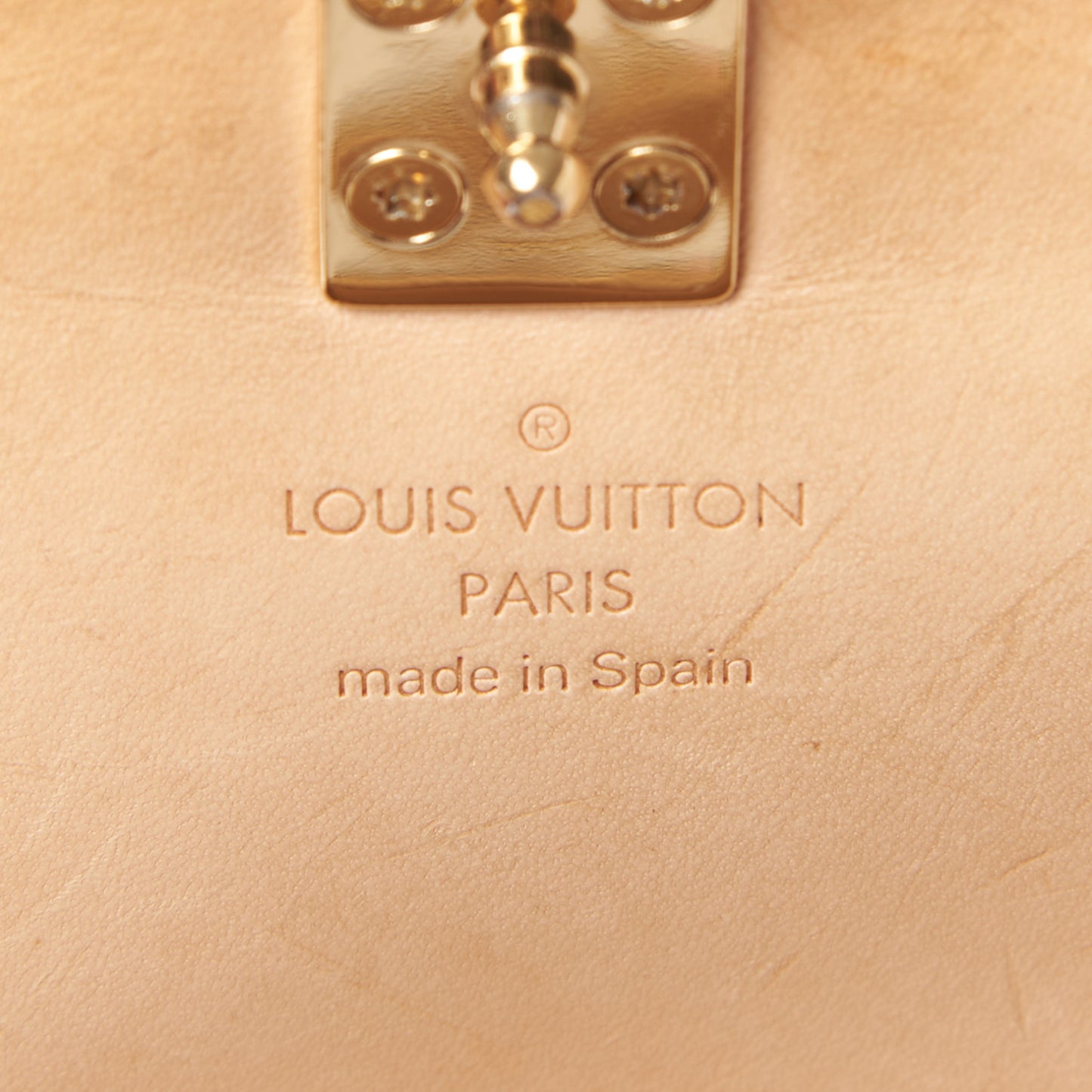 Monogram Cherry Blossom Sac Retro Bag Brown