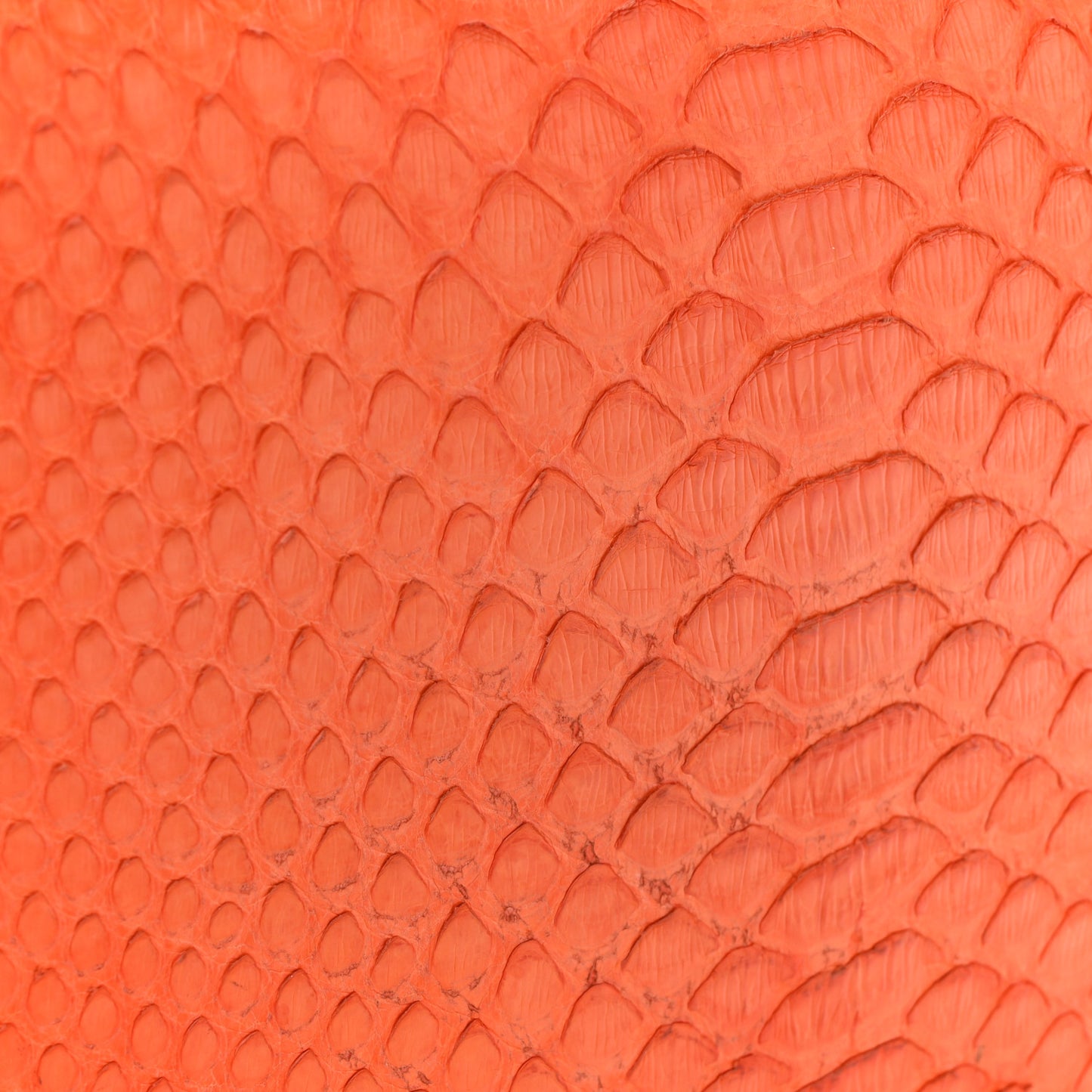 Snakeskin Medium Classic Box Flap Orange