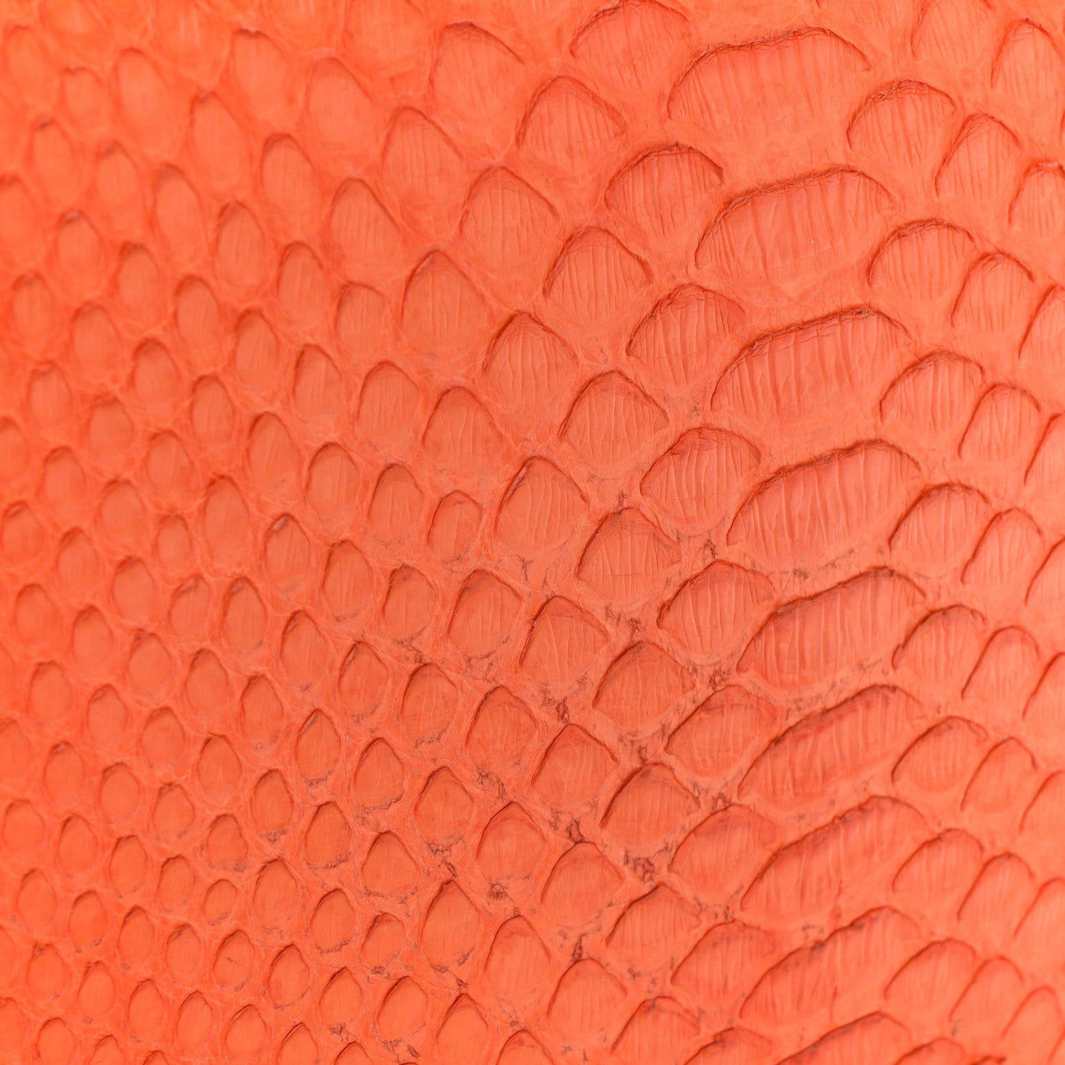 Celine Snakeskin Medium Classic Box Flap Orange 13 of 17
