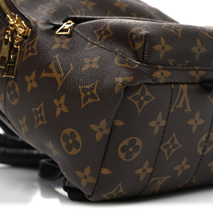 Louis Vuitton Monogram Palm Springs Backpack PM 9 of 11