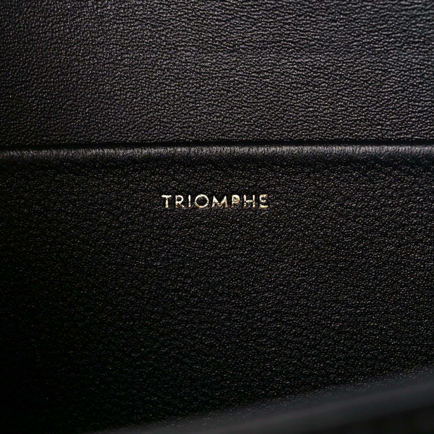 Shiny Calfskin Medium Triomphe Black