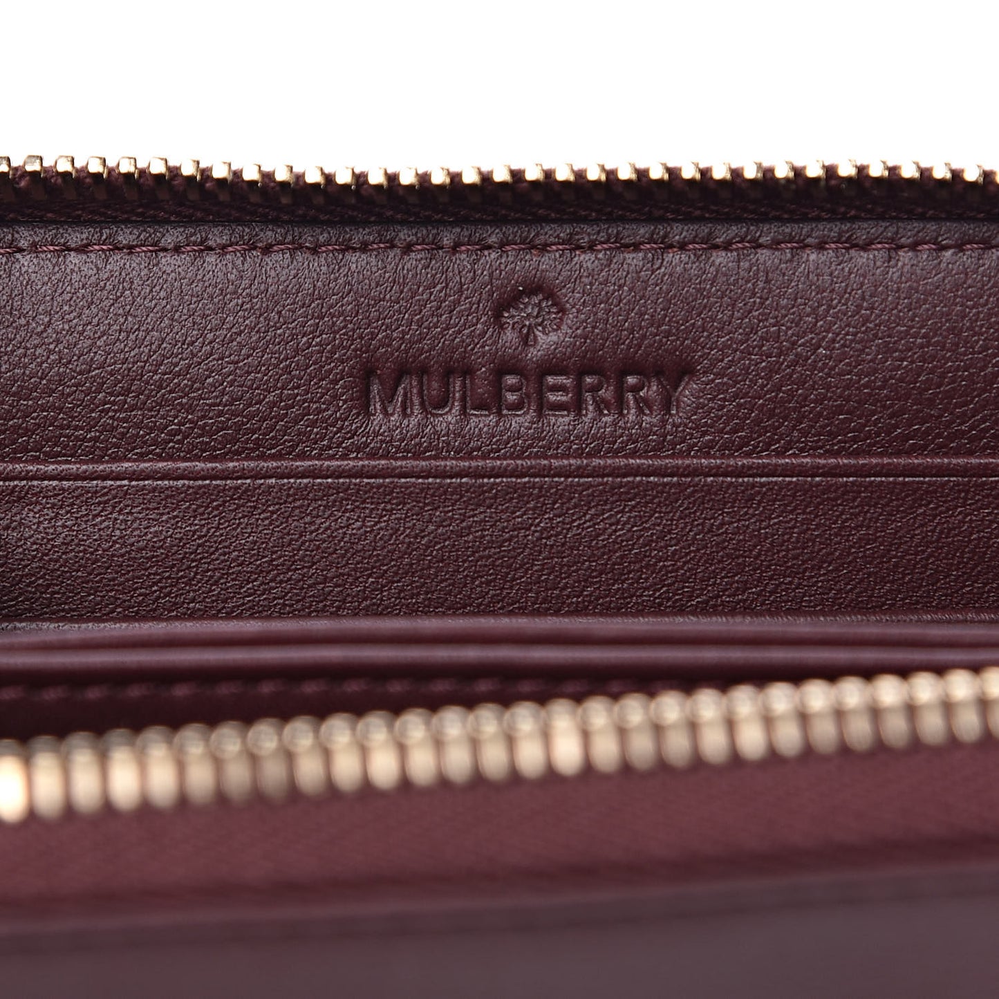 Silky Calf Cara Delevigne Zip Around Small Wallet Oxblood