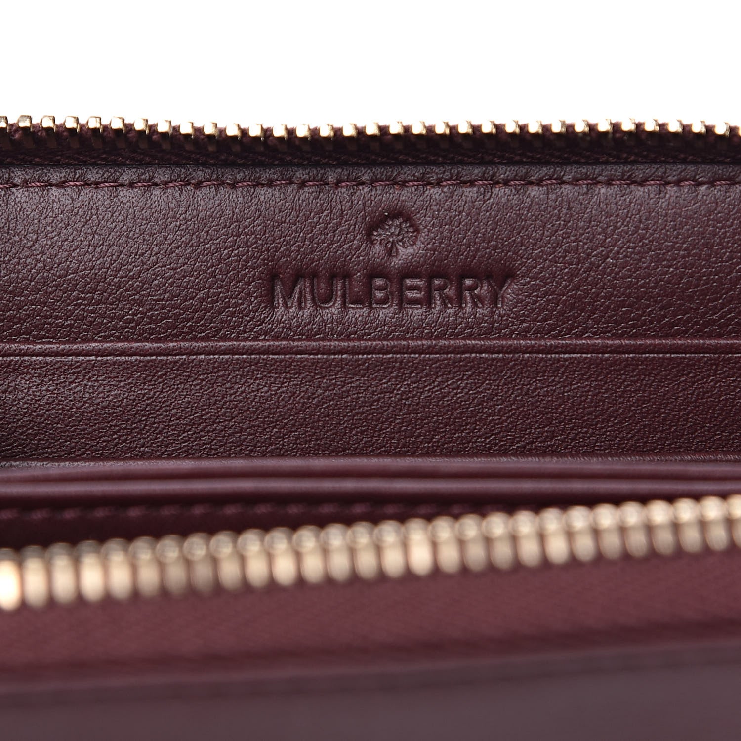 Mulberry Silky Calf Cara Delevigne Zip Around Small Wallet Oxblood 6 of 9