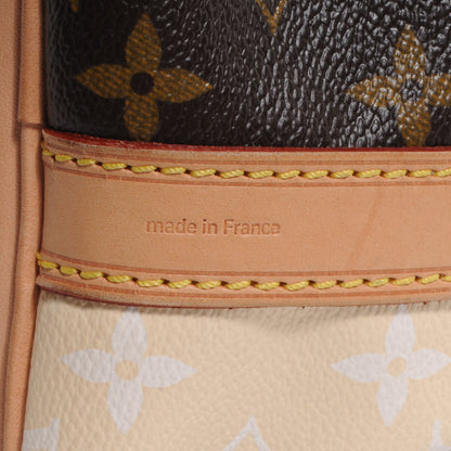 Louis Vuitton Monogram Rayures Petit Noe 7 of 10