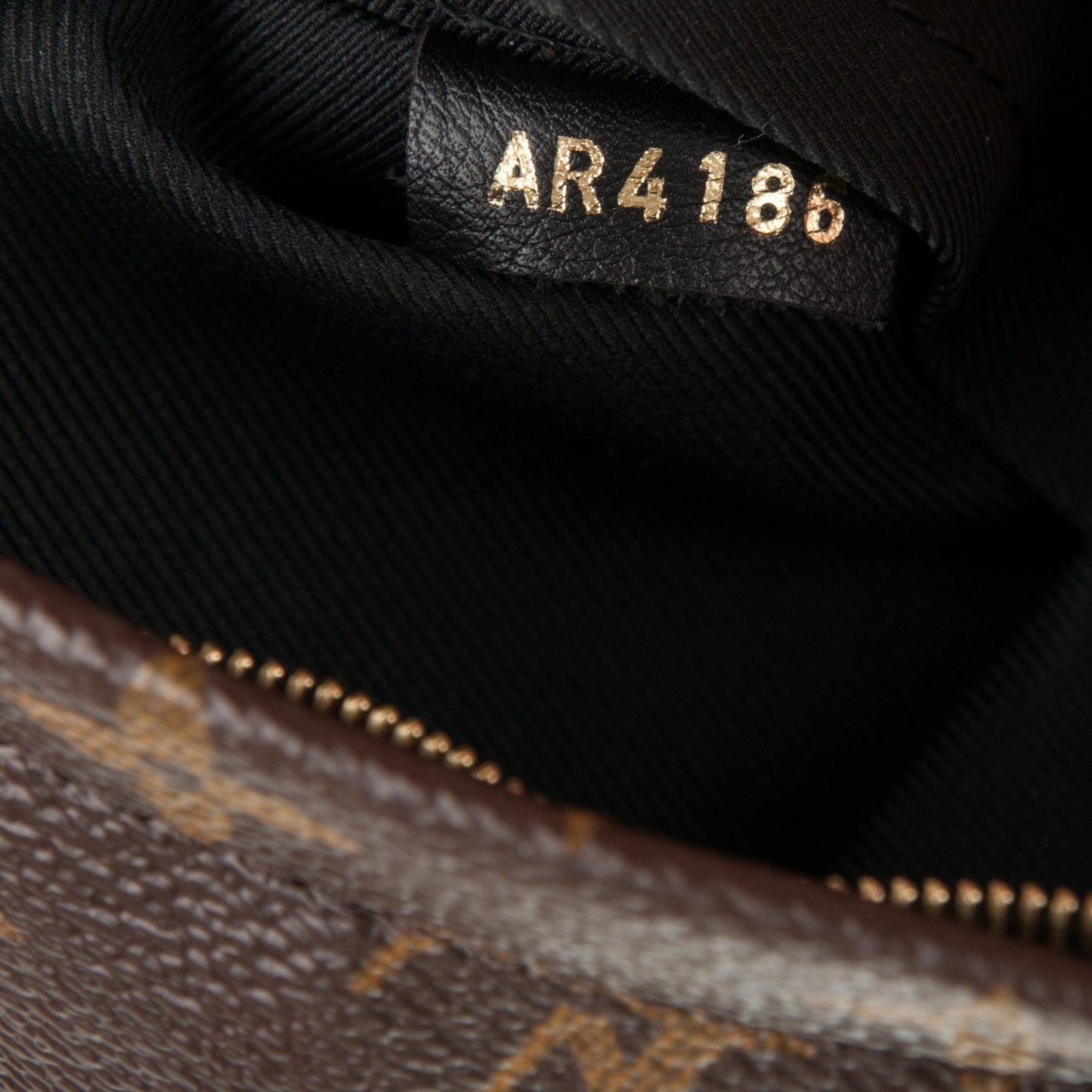 Monogram Palm Springs Backpack Mini