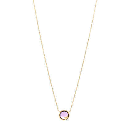 Tiffany 18K Yellow Gold Amethyst Paloma Picasso Olive Leaf Pendant Necklace 1 of 5