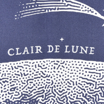 Hermes Silk Clair De Lune Double Face Scarf 90 Marine White Beige 3 of 5