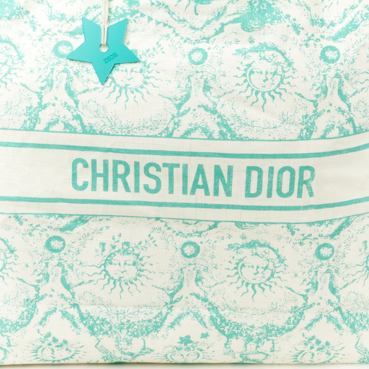 Canvas Dioriviera Toile de Jouy Soleil Tote Aquamarina