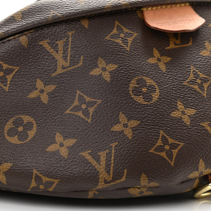 Louis Vuitton Monogram Bumbag 8 of 14