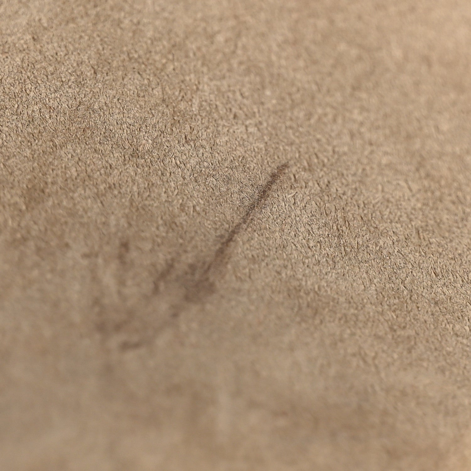 Celine Grained Calfskin Mini Belt Bag Light Taupe 13 of 13