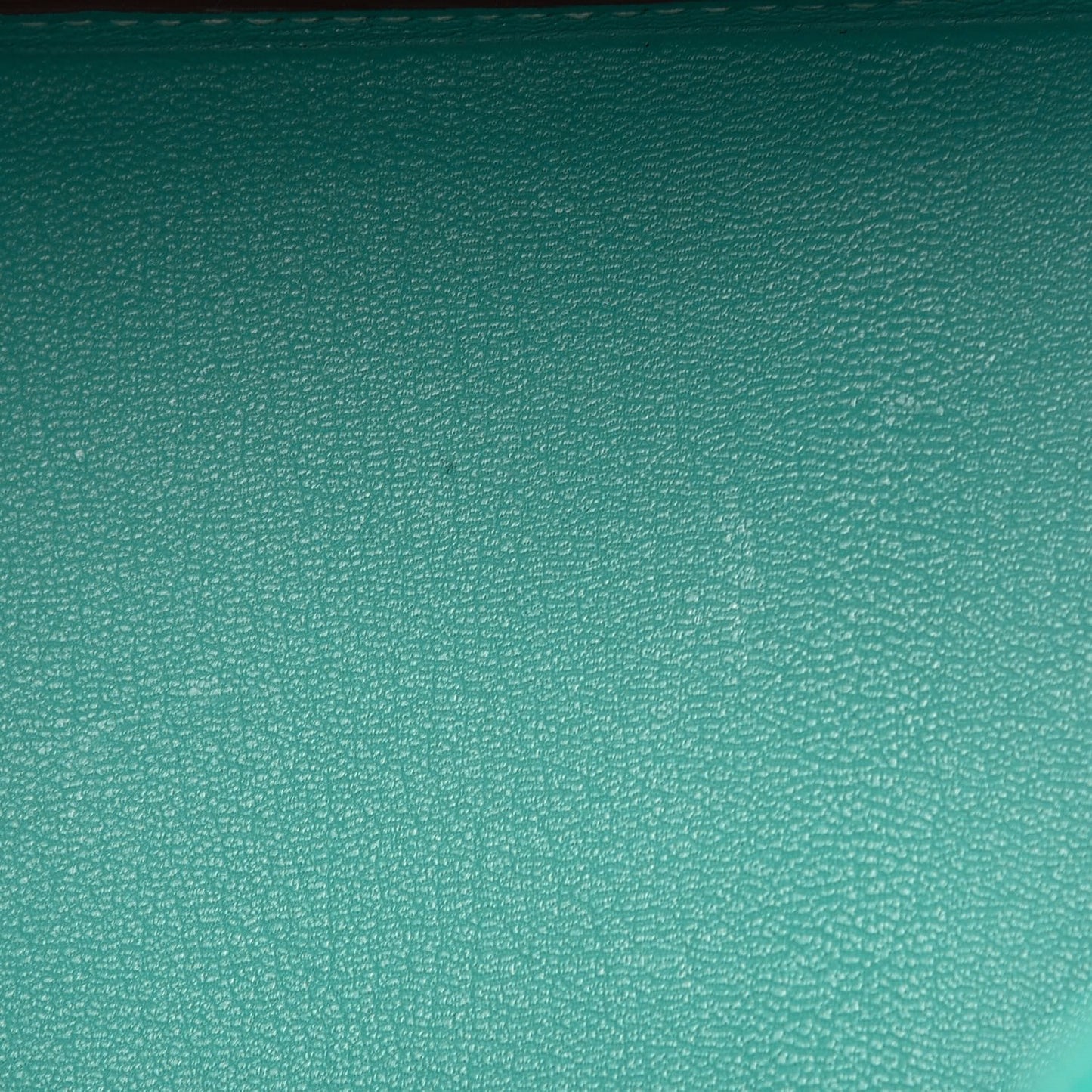 Togo Birkin 35 Lagon