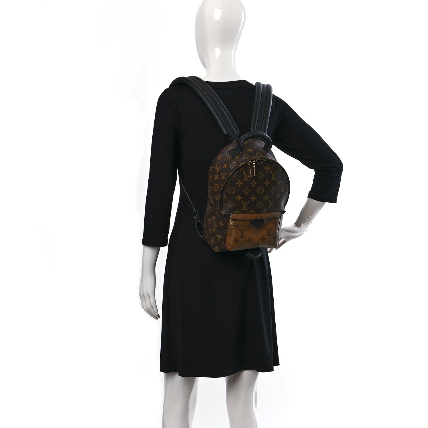 Louis Vuitton Reverse Monogram Palm Springs Backpack PM 2 of 8