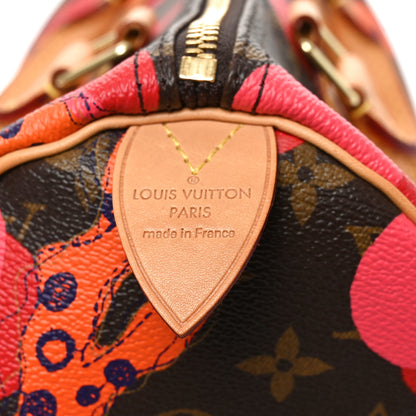 Louis Vuitton Monogram Ramages Speedy 30 Grenade 6 of 9