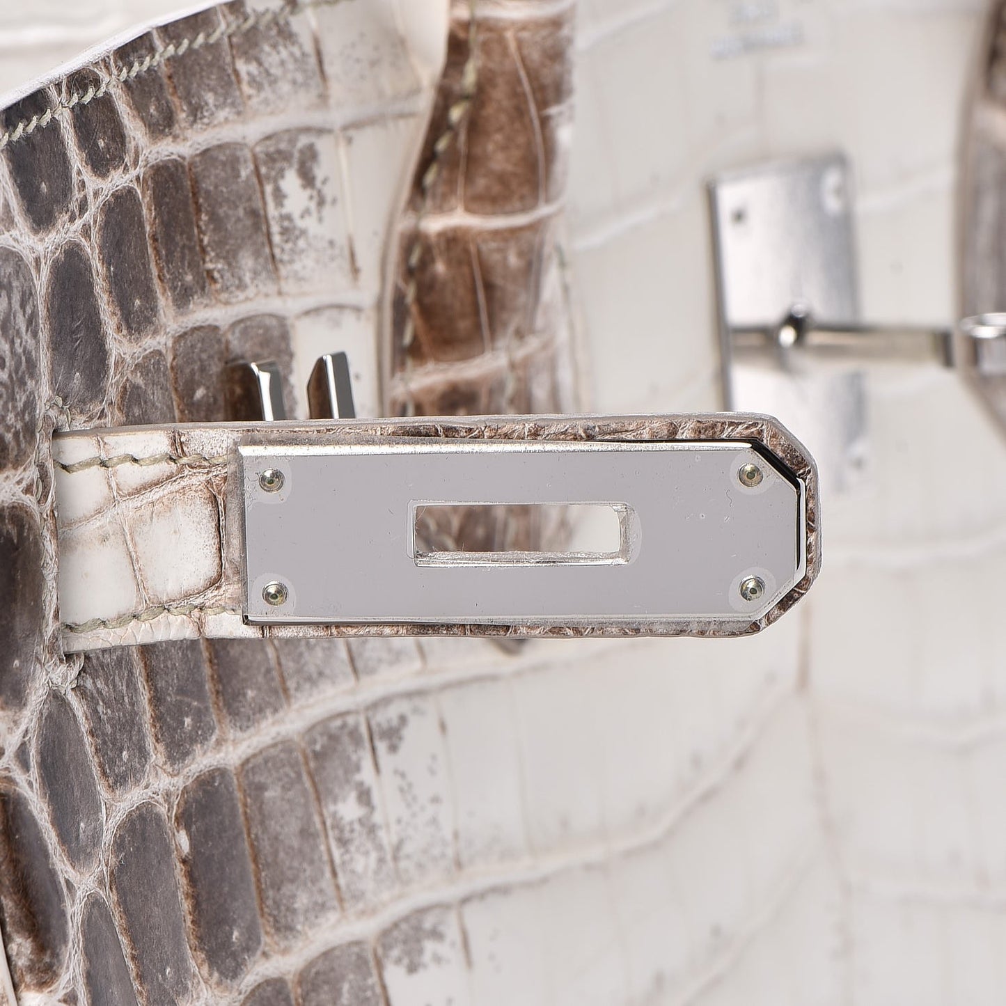 Matte Niloticus Crocodile Himalaya Birkin 30 Blanc