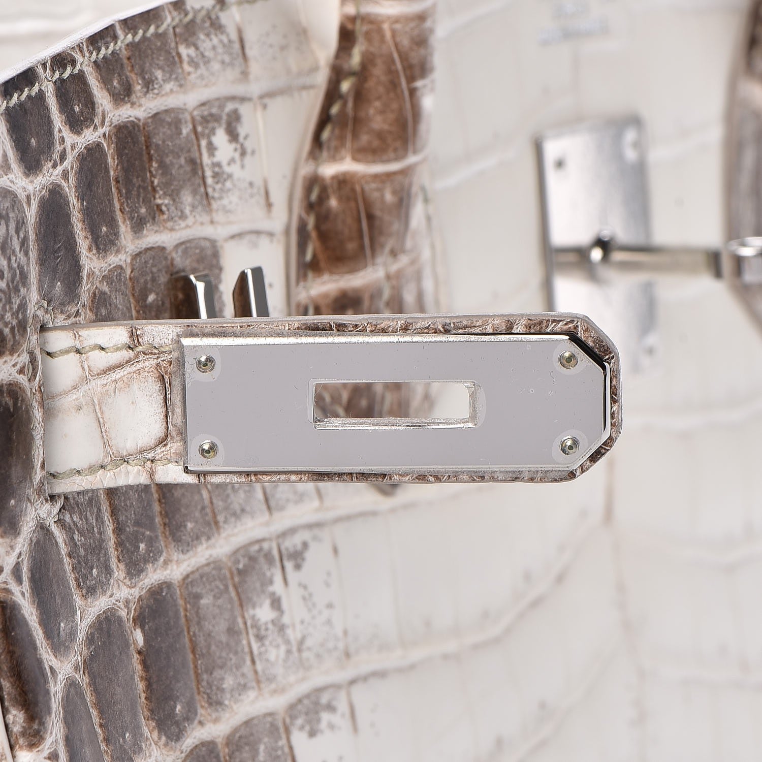 Hermes Matte Niloticus Crocodile Himalaya Birkin 30 Blanc 19 of 49