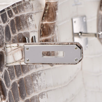 Hermes Matte Niloticus Crocodile Himalaya Birkin 30 Blanc 19 of 49