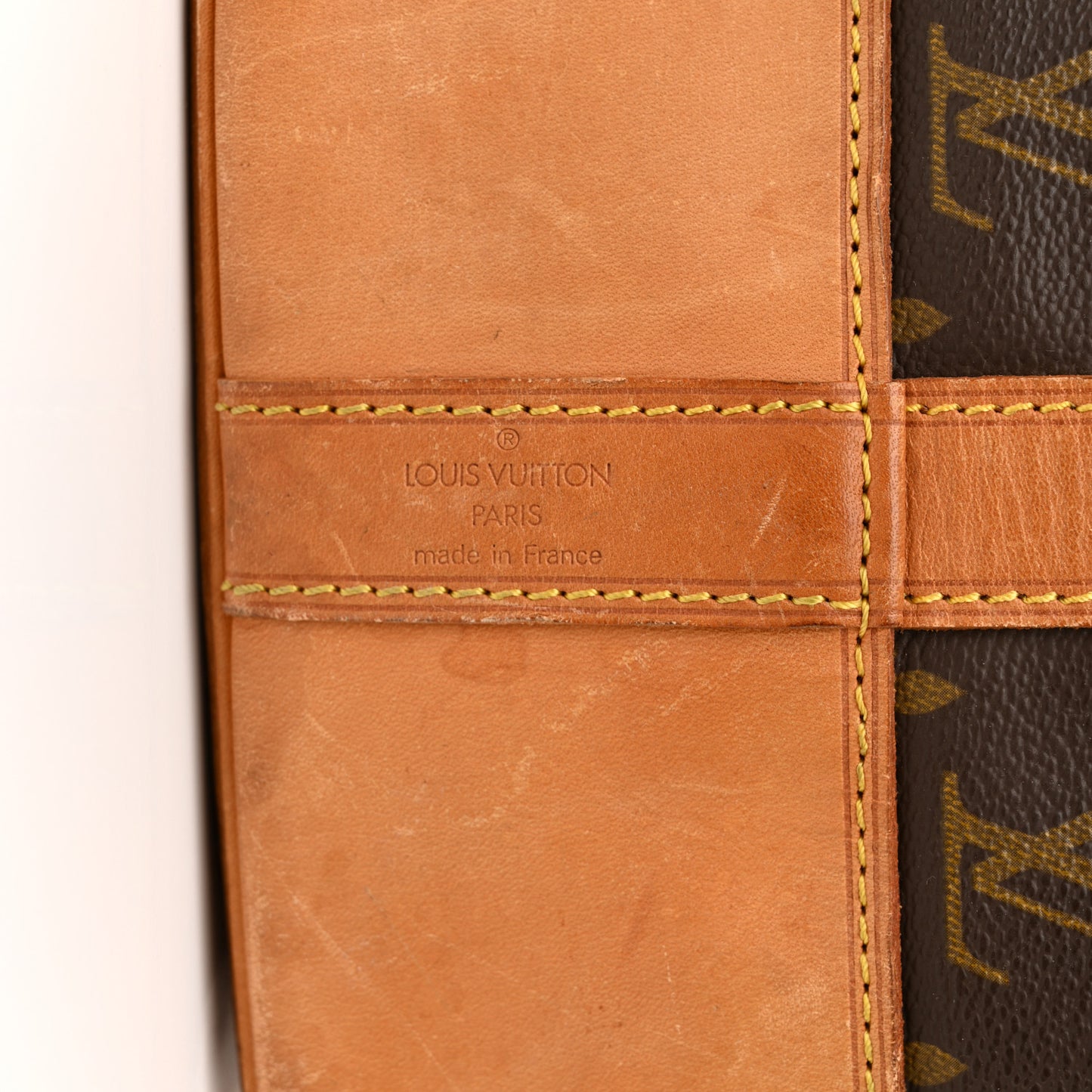 Monogram Randonnee GM Backpack