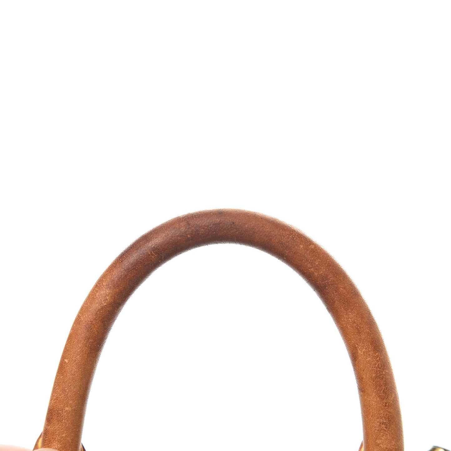 Monogram Mini Sac HL Speedy