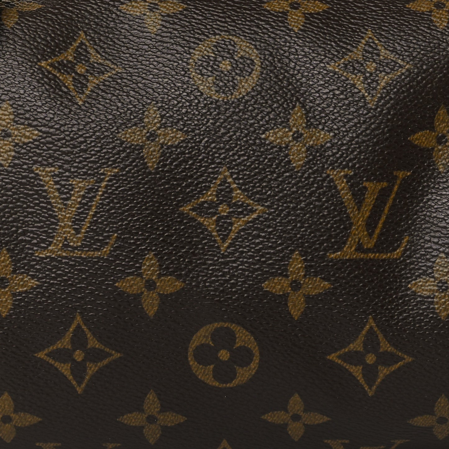 Monogram Papillon 30 With Companion