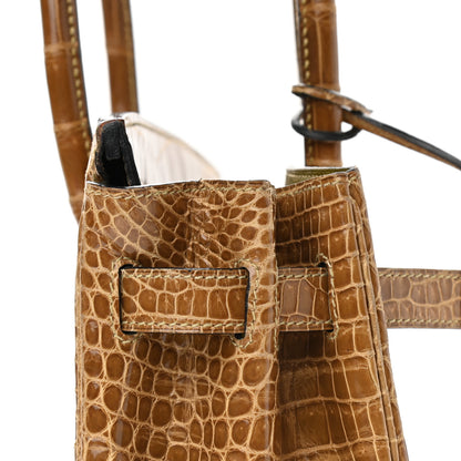 Hermes Shiny Porosus Crocodile Birkin 30 Ficelle Chartreuse 14 of 42
