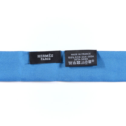 Hermes Silk Animapolis Plumetis Twillon Bordeaux Bleu Bleu Vif 5 of 7
