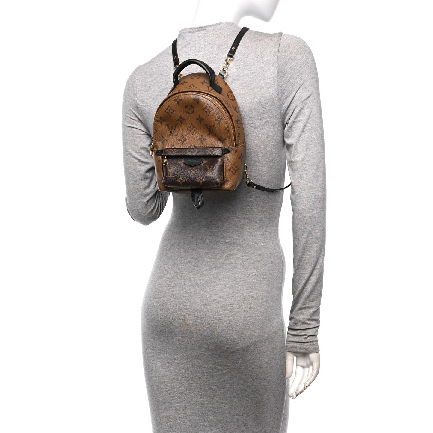 Reverse Monogram Palm Springs Backpack Mini