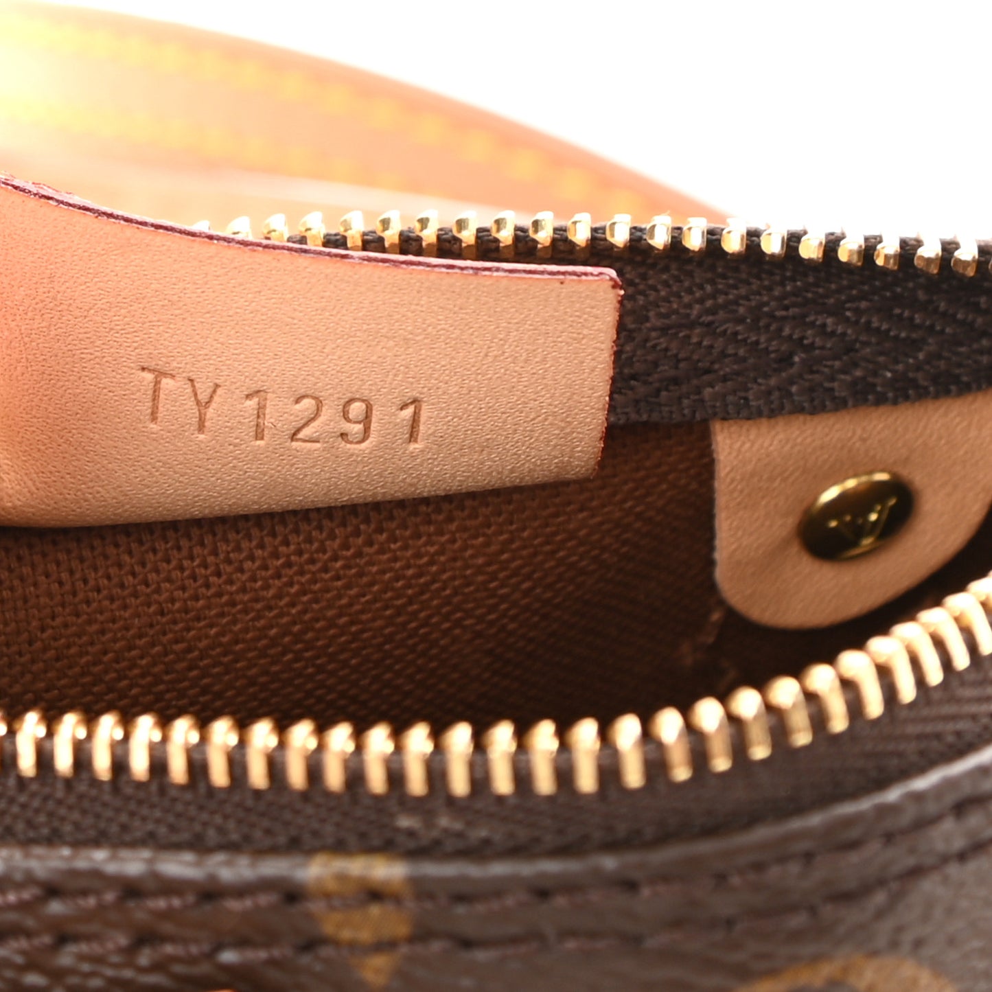 Monogram Nano Speedy