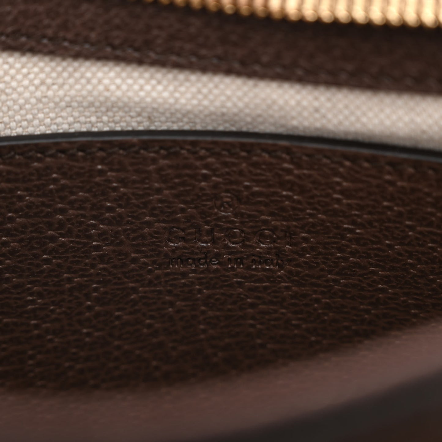 GG Supreme Monogram Textured Dollar Calfskin Web Small Ophidia GG Handbag Beige Ebony New Acero