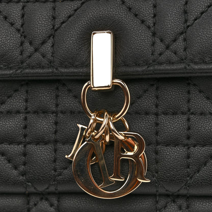 Christian Dior Lambskin Cannage Chain My Dior Daily Chain Pouch Black 12 of 12