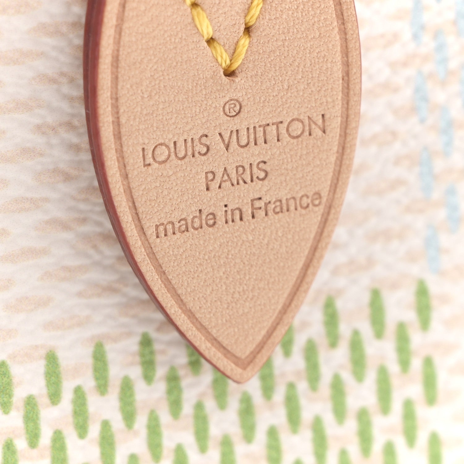 Louis Vuitton Damier Giant Speedy Bandouliere 20 Pistachio 5 of 9