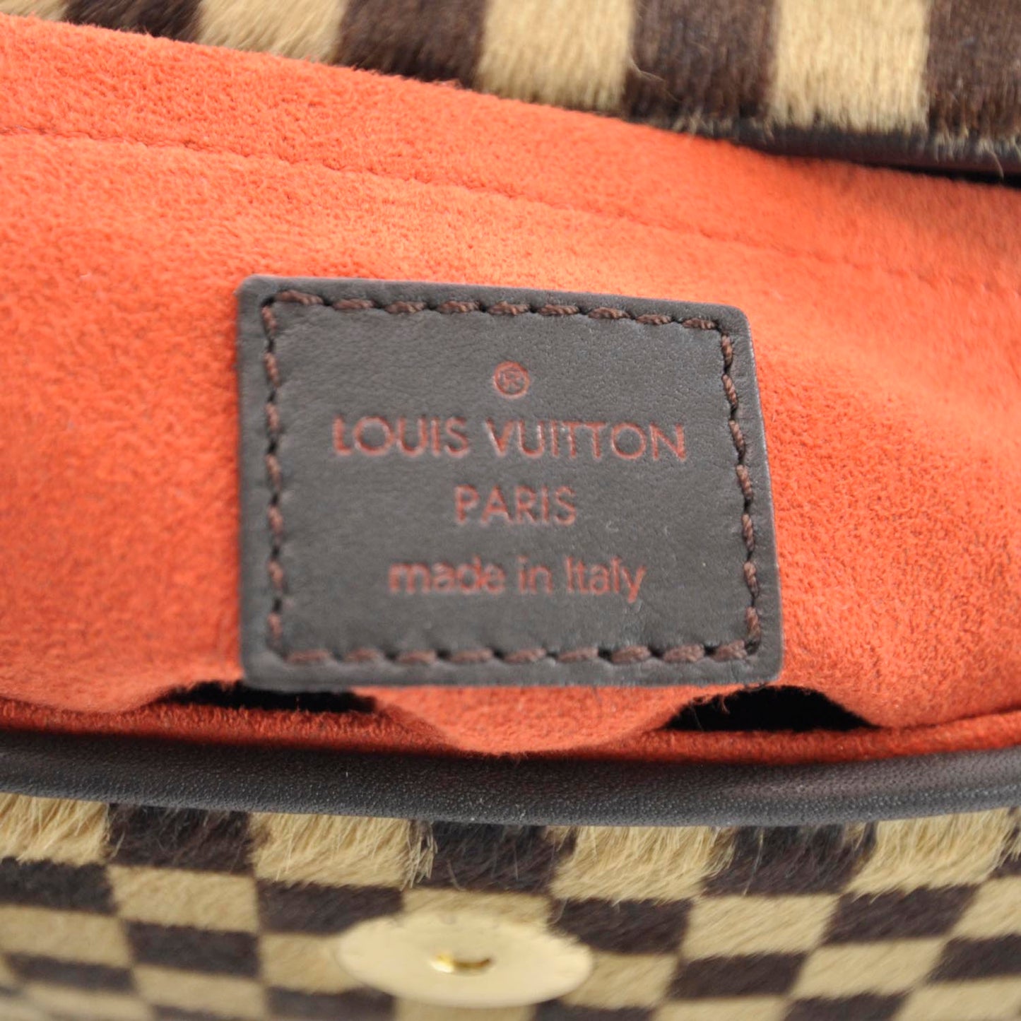 Damier Sauvage Lionne