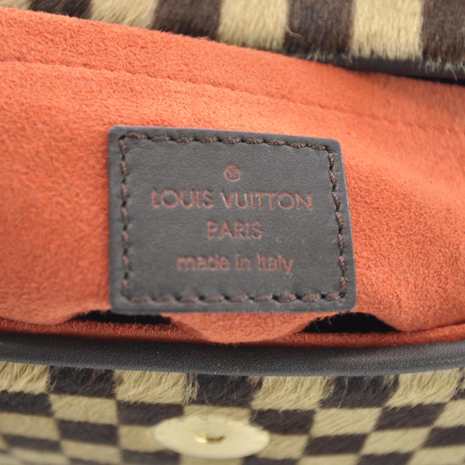 Louis Vuitton Damier Sauvage Lionne 8 of 9