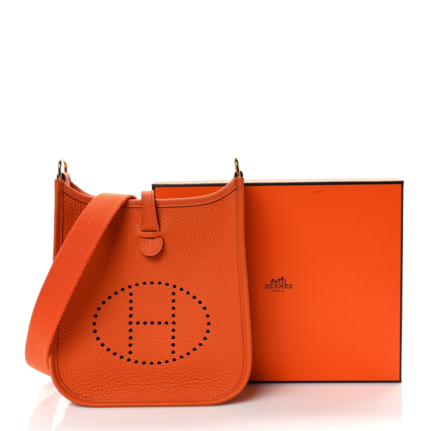 Taurillon Clemence Evelyne TPM Orange