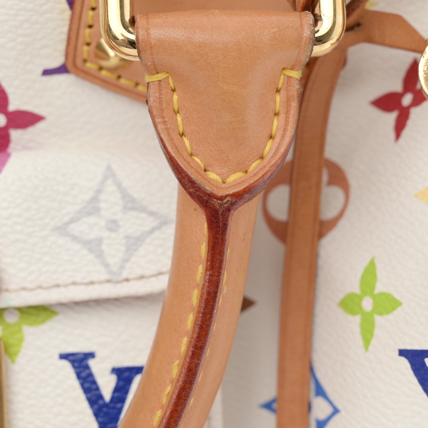 Monogram Multicolor Speedy 30 White