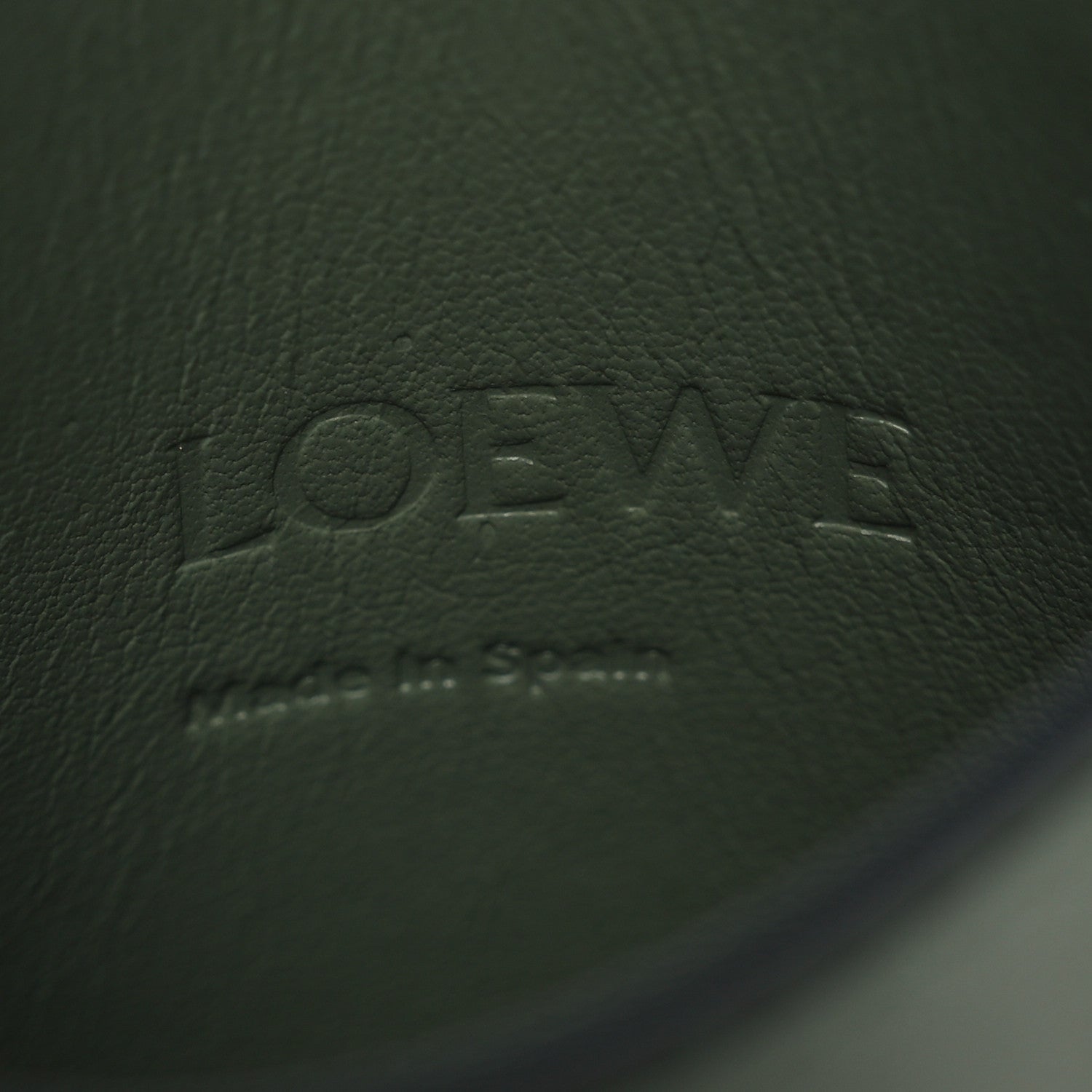 Loewe Smooth Calfskin Dice Pocket Green 6 of 12