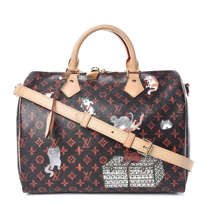 Louis Vuitton Catogram Speedy Bandouliere 30 Marron 1 of 9