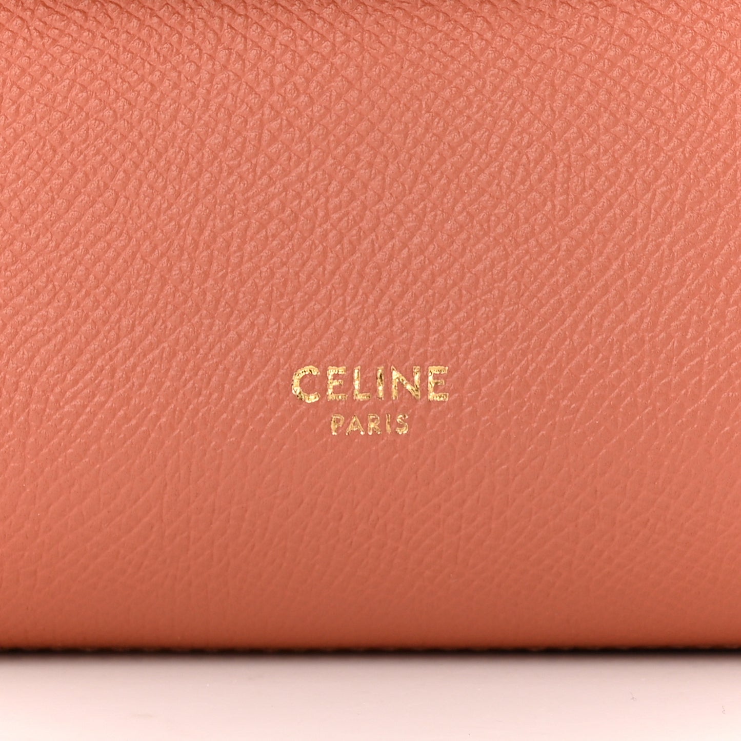 Grained Calfskin Pico Belt Bag Lychee