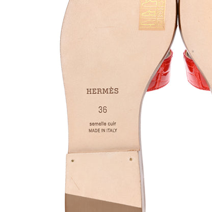 Hermes Shiny Alligator Oran Sandals 36 Orange Poppy 6 of 8