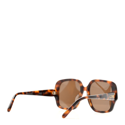 Loewe Acetate Square Sunglasses LW40134U Tortoise 7 of 14