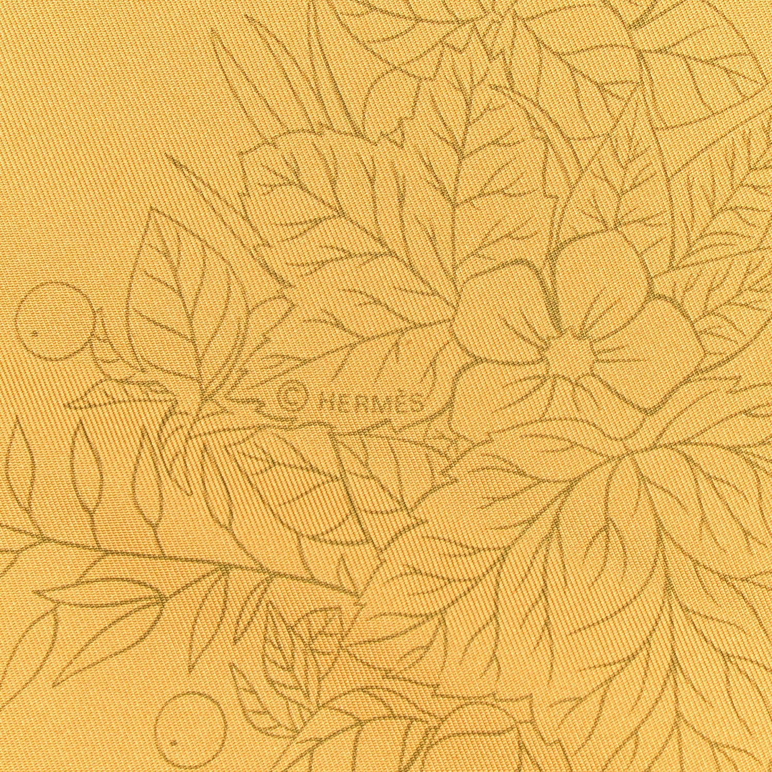 Hermes Silk De La Citrouille A La Caleche Scarf 90 3 of 5