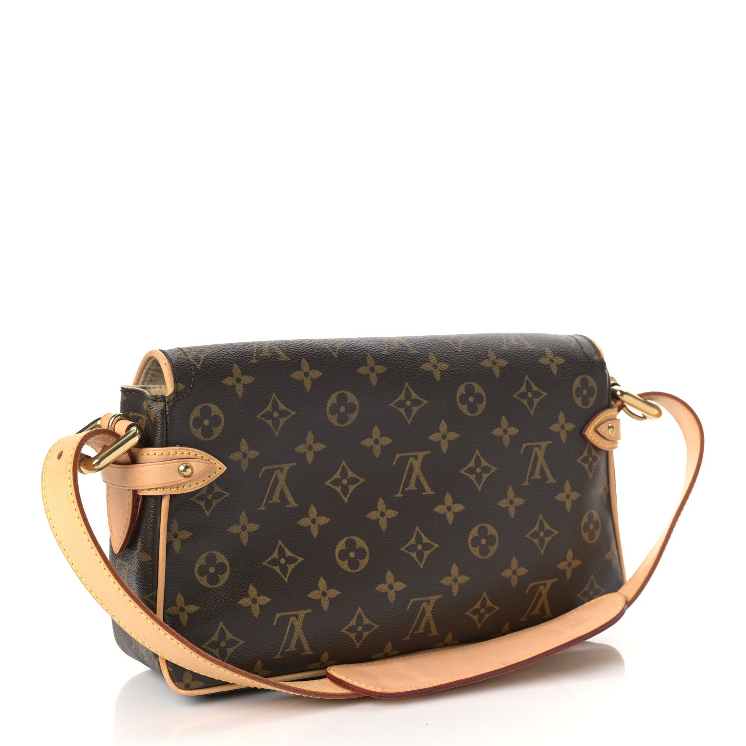 Louis Vuitton Monogram Hudson PM 3 of 10