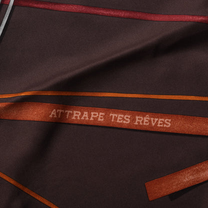 Hermes Silk Attrape Tes Reves Scarf 90 Chocolat Ardoise Taupe 4 of 6