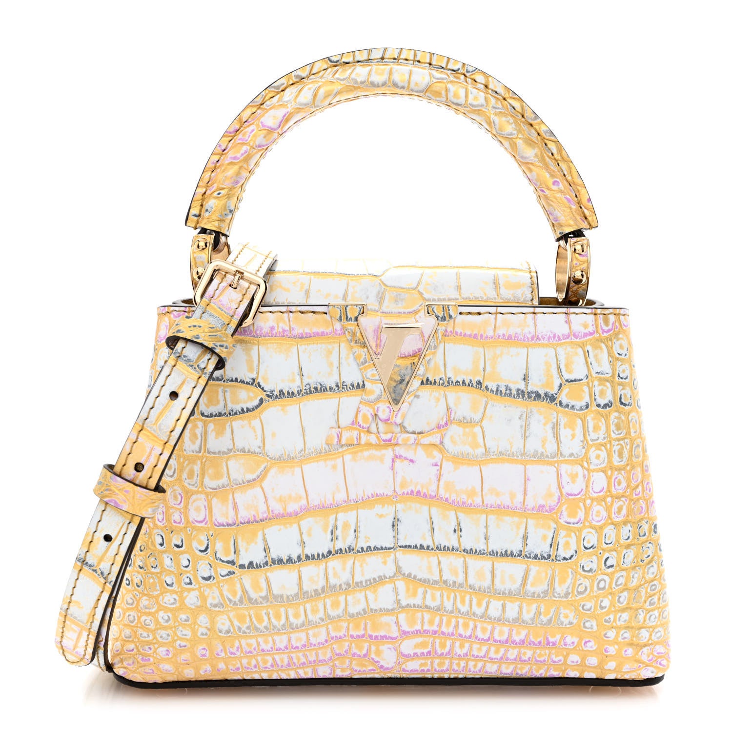 Louis Vuitton Alligator Mini Capucines Royal Garden 1 of 9