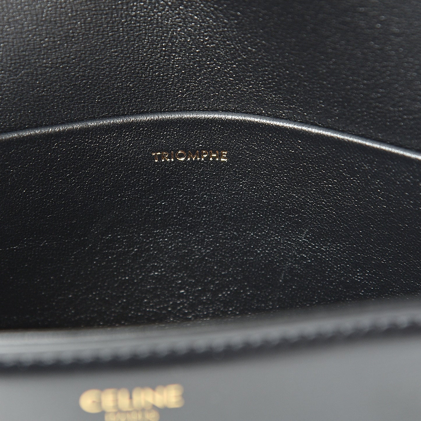 Shiny Calfskin Nano Triomphe Black