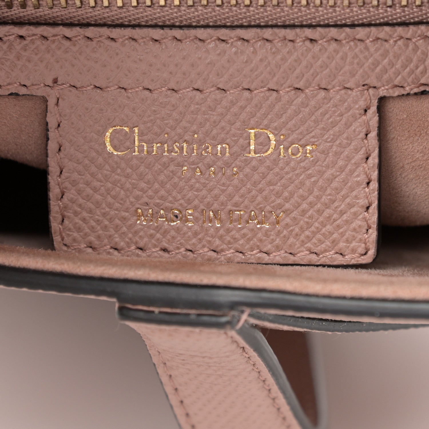 Christian Dior Grained Calfskin Saddle Bag Fard 10 of 19