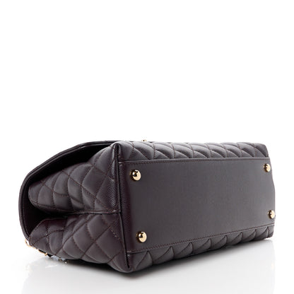 Chanel Caviar Quilted Small Coco Handle Flap Dark Brown 4 of 12